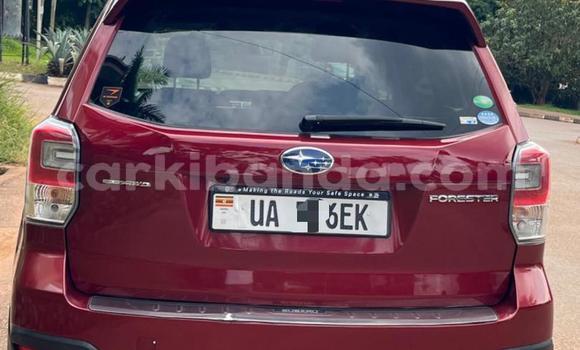 Acheter Neuf Voiture Subaru Forester Rouge à Kampala, Ouganda Acheter Neuf Voiture Subaru Forester Rouge à Kampala, Ouganda