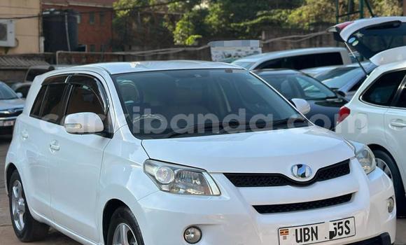Buy New Toyota IST White Car in Kampala in Uganda Buy New Toyota IST White Car in Kampala in Uganda