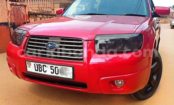 Nunua Ilio tumika Subaru Forester Nyekundu Gari ndani ya Kampala nchini Uganda Nunua Ilio tumika Subaru Forester Nyekundu Gari ndani ya Kampala nchini Uganda