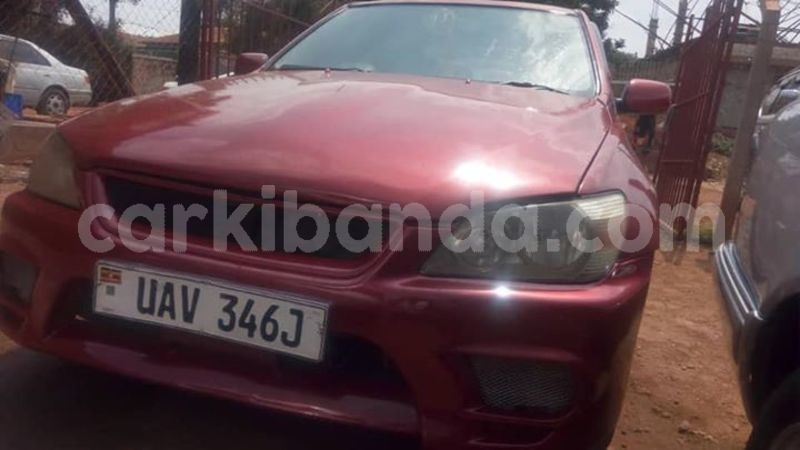 Big with watermark 51814804 1276630965821551 7292698290712215552 n