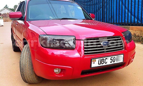Nunua Ilio tumika Subaru Forester Nyekundu Gari ndani ya Kampala nchini Uganda Nunua Ilio tumika Subaru Forester Nyekundu Gari ndani ya Kampala nchini Uganda