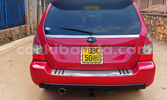 Nunua Ilio tumika Subaru Forester Nyekundu Gari ndani ya Kampala nchini Uganda Nunua Ilio tumika Subaru Forester Nyekundu Gari ndani ya Kampala nchini Uganda