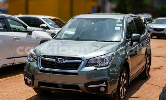 Buy Used Subaru Forester Green Car in Kampala in Uganda