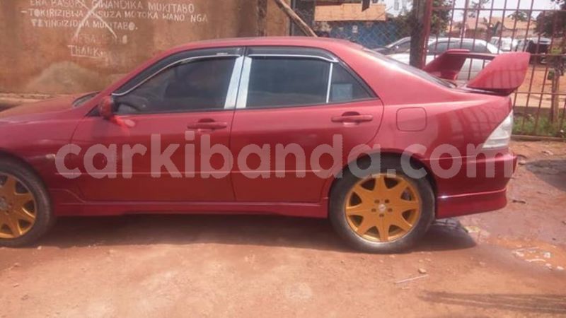 Big with watermark 51944596 1276631082488206 595901741380141056 n