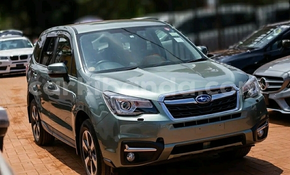 Buy Used Subaru Forester Green Car in Kampala in Uganda Buy Used Subaru Forester Green Car in Kampala in Uganda