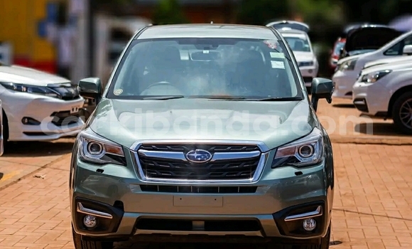 Buy Used Subaru Forester Green Car in Kampala in Uganda Buy Used Subaru Forester Green Car in Kampala in Uganda