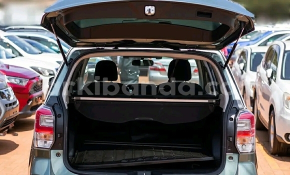 Buy Used Subaru Forester Green Car in Kampala in Uganda Buy Used Subaru Forester Green Car in Kampala in Uganda