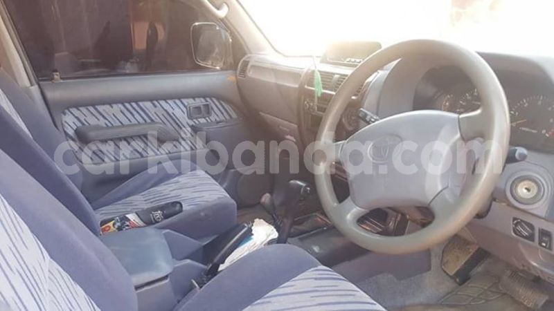 Big with watermark 51092599 1273088366175811 9064679459193356288 n