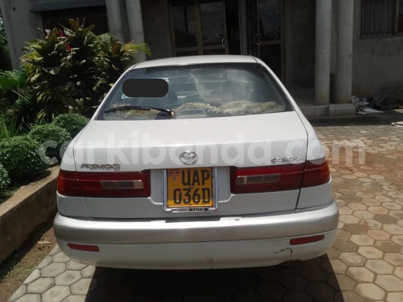 Big with watermark ac ace uganda kampala 25852