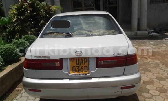 Buy Used AC Ace Silver Car in Kampala in Uganda