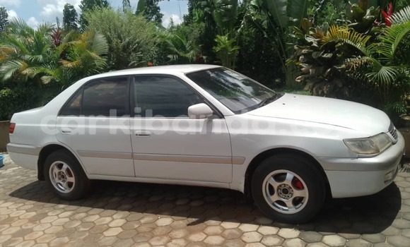 Gura Yakoze AC Ace Silver Imodoka i Kampala mu Uganda Gura Yakoze AC Ace Silver Imodoka i Kampala mu Uganda