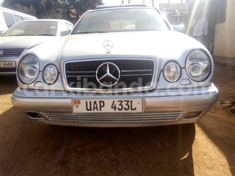 Big with watermark 51356316 1273045029513478 2464183768924028928 n