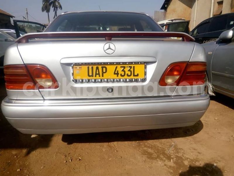 Big with watermark 51593798 1273044992846815 811456589369180160 n