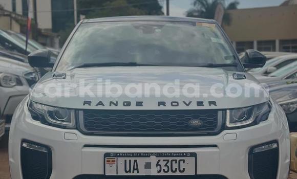 Gura Nshya Range Rover Evoque White Imodoka i Kampala mu Uganda Gura Nshya Range Rover Evoque White Imodoka i Kampala mu Uganda
