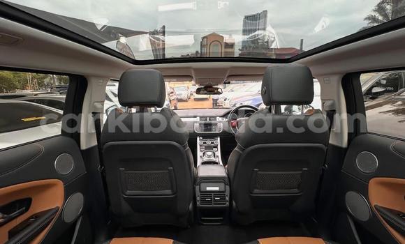 Gura Nshya Range Rover Evoque White Imodoka i Kampala mu Uganda Gura Nshya Range Rover Evoque White Imodoka i Kampala mu Uganda