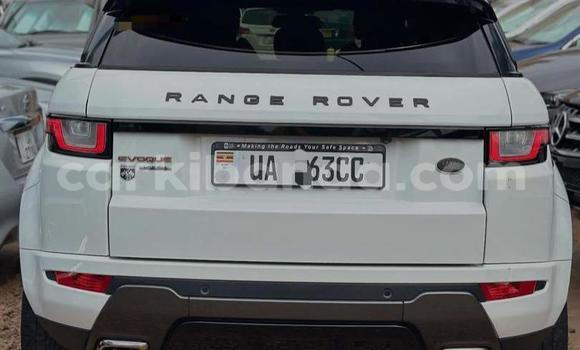 Gura Nshya Range Rover Evoque White Imodoka i Kampala mu Uganda Gura Nshya Range Rover Evoque White Imodoka i Kampala mu Uganda