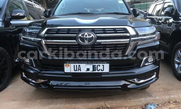 Buy cars for sale in uganda - carkibanda
