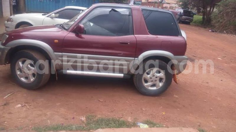 Big with watermark 50583678 1264692420348739 4658753117620273152 n