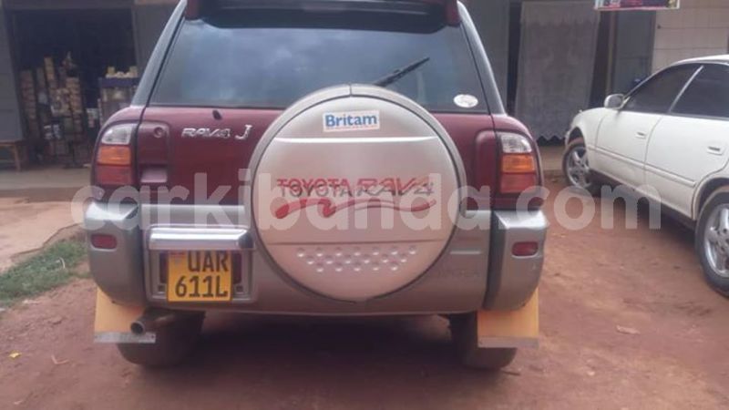 Big with watermark 50988236 1264692437015404 8885768374525624320 n