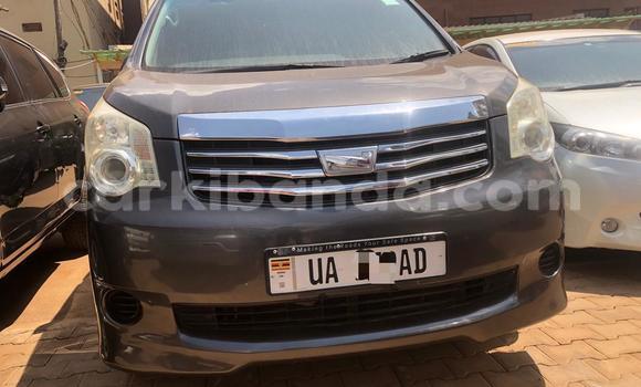 Gura Nshya Toyota Noah Other Imodoka i Kampala mu Uganda Gura Nshya Toyota Noah Other Imodoka i Kampala mu Uganda