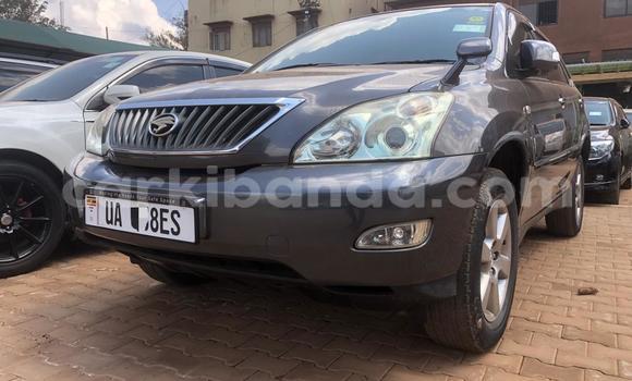 Gura Nshya Toyota Harrier Other Imodoka i Kampala mu Uganda