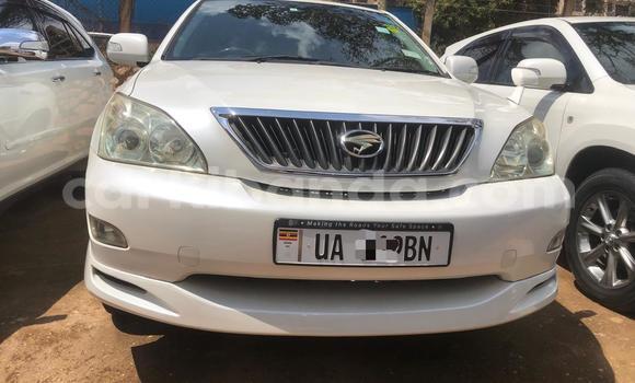 Buy New Toyota Harrier White Car in Kampala in Uganda Buy New Toyota Harrier White Car in Kampala in Uganda