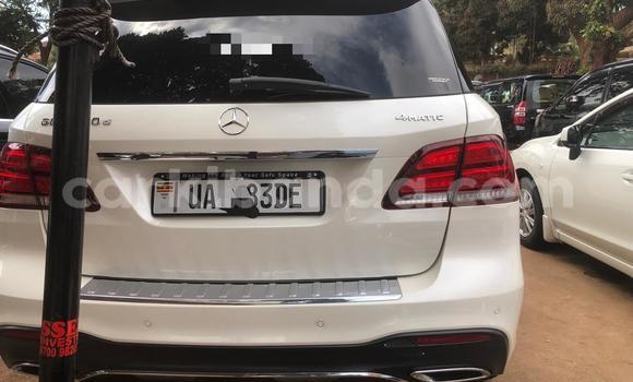 Buy New Mercedes‒Benz GLE White Car in Kampala in Uganda Buy New Mercedes‒Benz GLE White Car in Kampala in Uganda