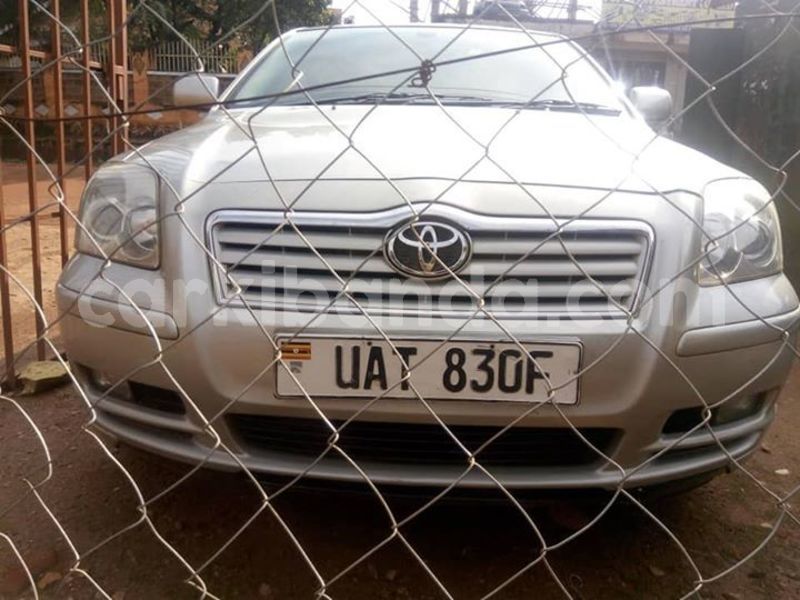 Big with watermark 51010741 1264180847066563 6316609746551963648 n