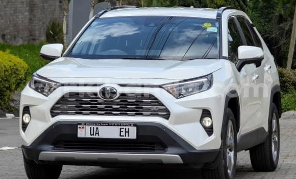 Buy New Toyota RAV4 White Car in Kampala in Uganda Buy New Toyota RAV4 White Car in Kampala in Uganda