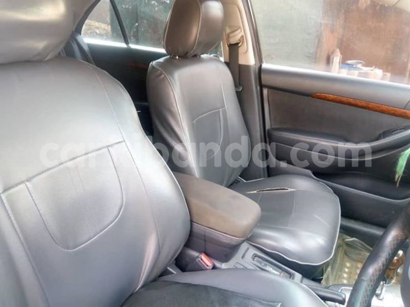 Big with watermark 50715977 1264181083733206 1825719116388892672 n