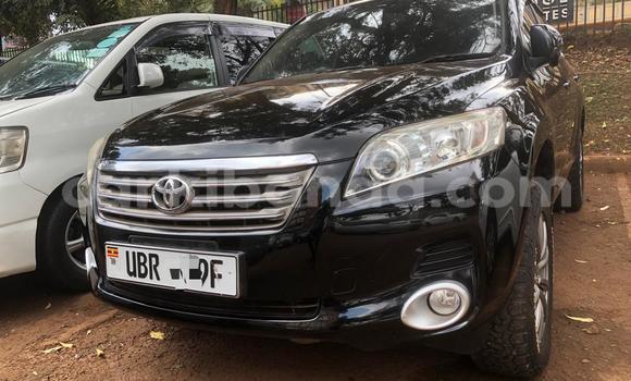Nunua Mpya Toyota Vanguard Nyeusi Gari ndani ya Kampala nchini Uganda Nunua Mpya Toyota Vanguard Nyeusi Gari ndani ya Kampala nchini Uganda