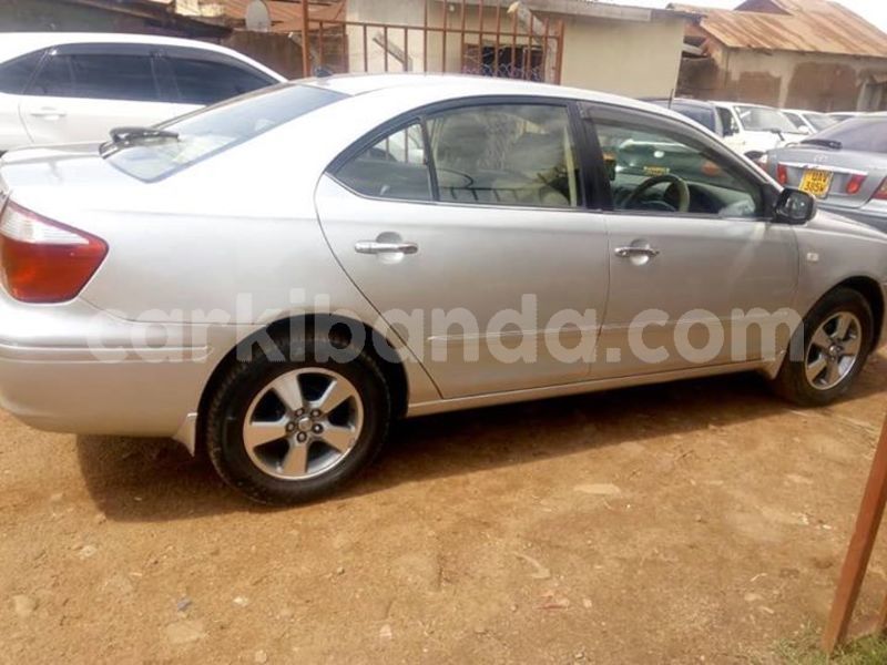 Big with watermark 49950047 1259027170915264 4089367361864335360 n