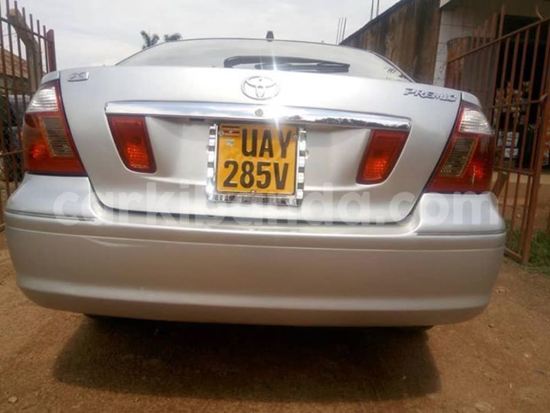 Big with watermark 50049706 1259027147581933 7809215069228630016 n