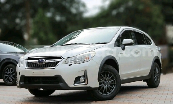 Buy Used Subaru XV White Car in Kampala in Uganda Buy Used Subaru XV White Car in Kampala in Uganda