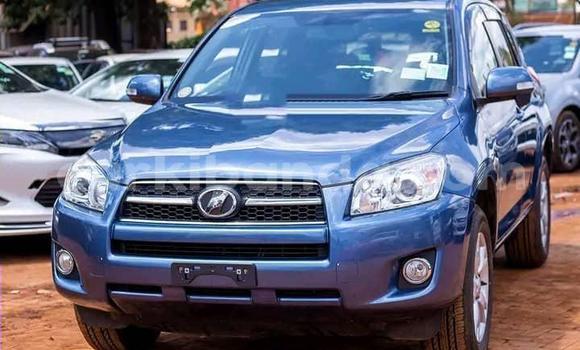 Buy Used Toyota RAV4 Blue Car in Kampala in Uganda Buy Used Toyota RAV4 Blue Car in Kampala in Uganda