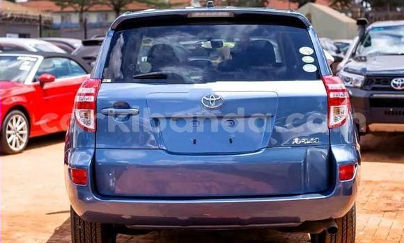 Buy Used Toyota RAV4 Blue Car in Kampala in Uganda Buy Used Toyota RAV4 Blue Car in Kampala in Uganda