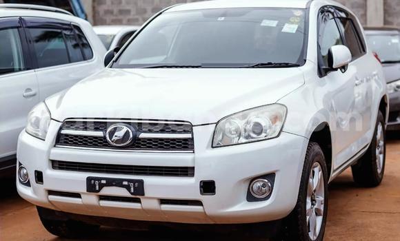 Buy Used Toyota RAV4 White Car in Kampala in Uganda Buy Used Toyota RAV4 White Car in Kampala in Uganda