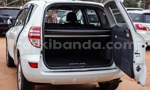 Buy Used Toyota RAV4 White Car in Kampala in Uganda Buy Used Toyota RAV4 White Car in Kampala in Uganda