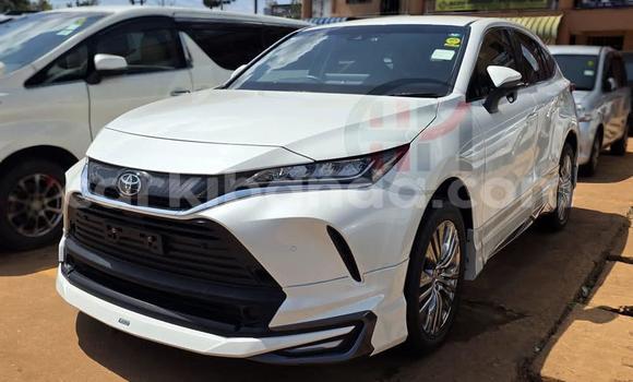 Buy Used Toyota Harrier White Car in Kampala in Uganda Buy Used Toyota Harrier White Car in Kampala in Uganda