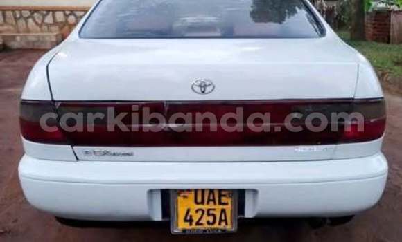 Buy Used Toyota 4Runner Other Car in Kampala in Uganda Buy Used Toyota 4Runner Other Car in Kampala in Uganda