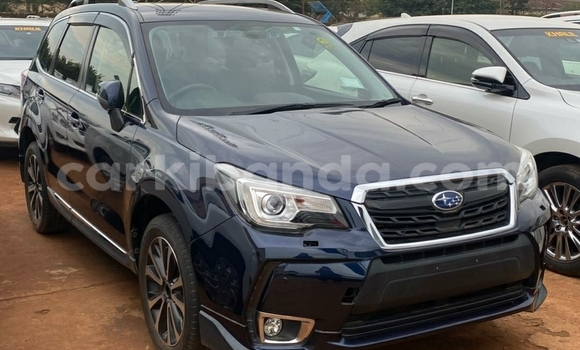 Buy Used Subaru Forester Blue Car in Kampala in Uganda Buy Used Subaru Forester Blue Car in Kampala in Uganda