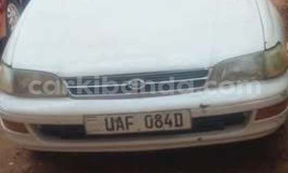 Buy Used Toyota Corolla Other Car in Kampala in Uganda