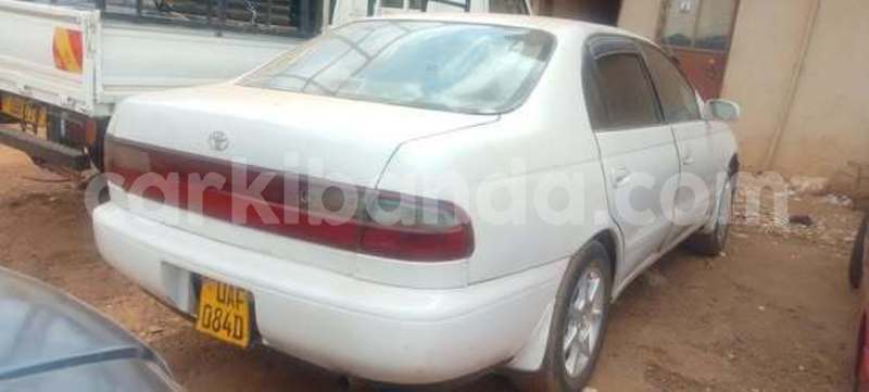 Big with watermark toyota corolla uganda kampala 25948