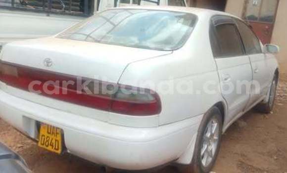 Buy Used Toyota Corolla Other Car in Kampala in Uganda Buy Used Toyota Corolla Other Car in Kampala in Uganda