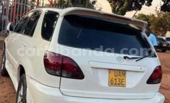 Buy Used Toyota Harrier Other Car in Kampala in Uganda Buy Used Toyota Harrier Other Car in Kampala in Uganda