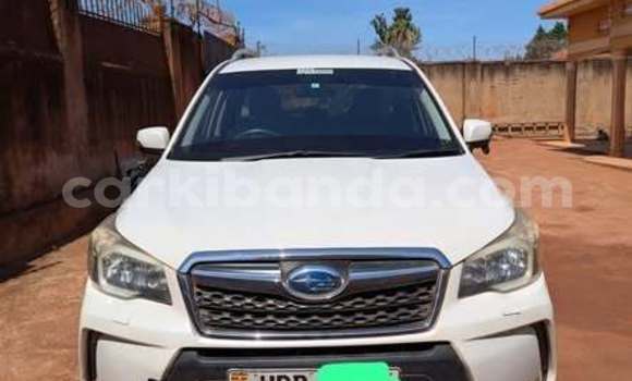 Buy Used Subaru Forester Other Car in Kampala in Uganda