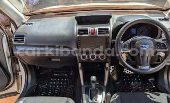 Buy Used Subaru Forester Other Car in Kampala in Uganda Buy Used Subaru Forester Other Car in Kampala in Uganda