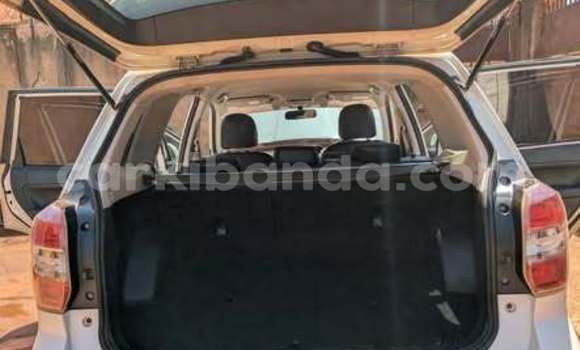 Buy Used Subaru Forester Other Car in Kampala in Uganda Buy Used Subaru Forester Other Car in Kampala in Uganda