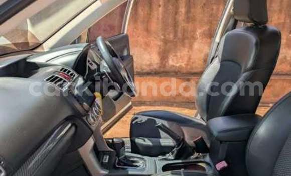Buy Used Subaru Forester Other Car in Kampala in Uganda Buy Used Subaru Forester Other Car in Kampala in Uganda
