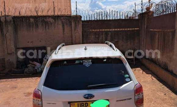 Buy Used Subaru Forester Other Car in Kampala in Uganda Buy Used Subaru Forester Other Car in Kampala in Uganda